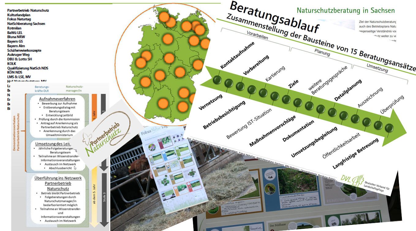 Beratungsmaterial bundesland verlinkungen