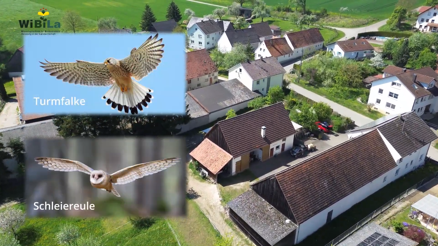 Nistkästen für Schleiereulen und Falken an der Hofstelle