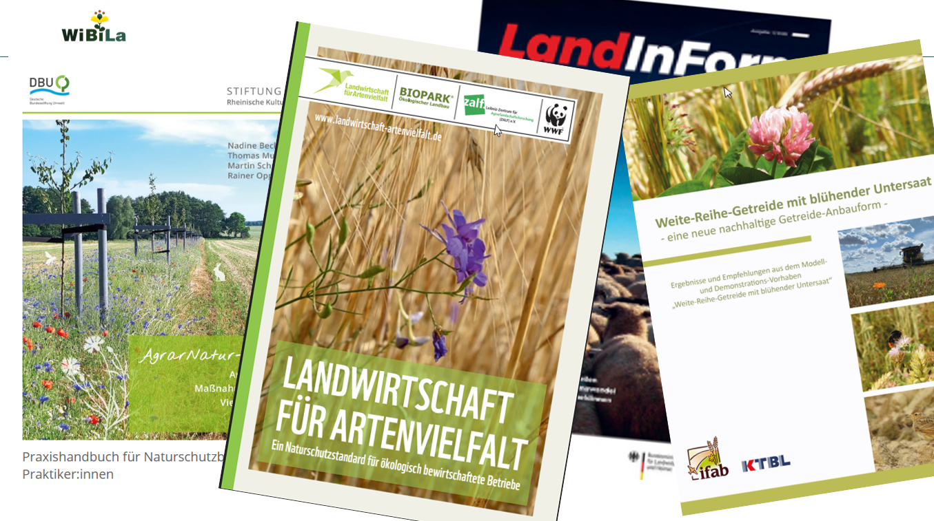 Beratungsmaterial fachinformationen